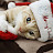@insanely.cute.kitty.cat.meow.l