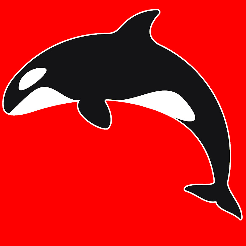 Orca Music Channel