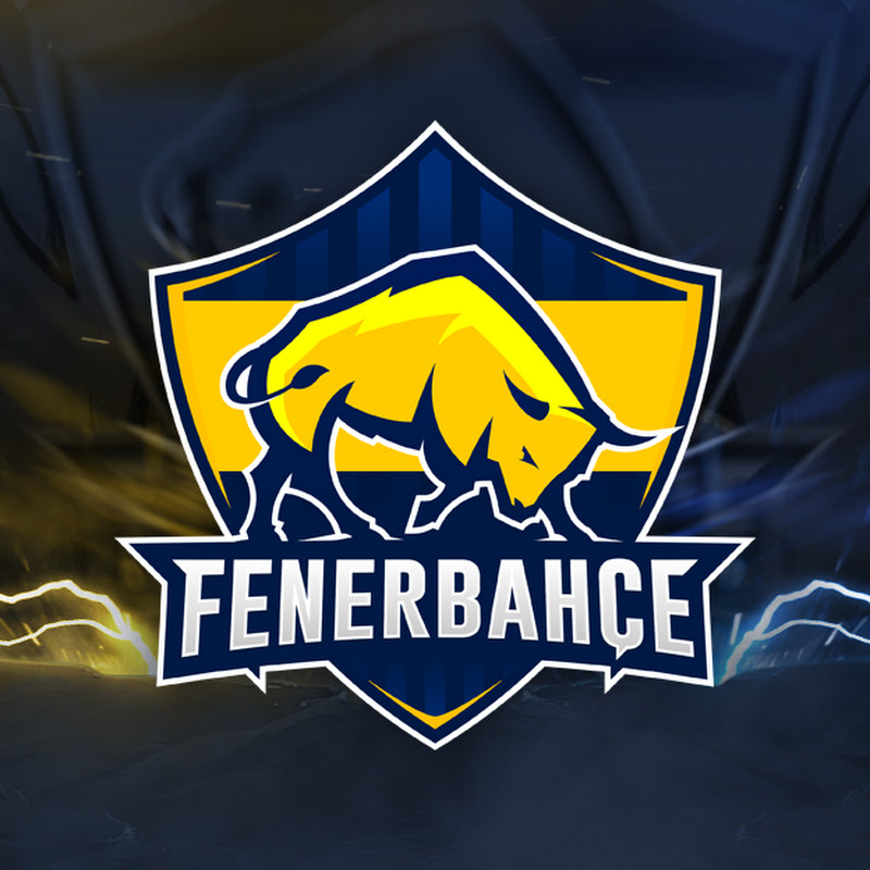 Fenerbahçe Espor
