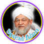 Spread True Islam logo