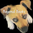 48bzPmfGSKE-channel-avatar-Beyond Books