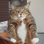 俺、ほたて　