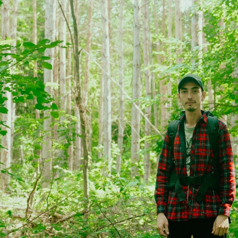 Forest Secrets