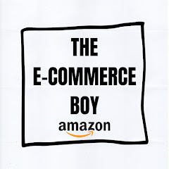 THE E-COMMERCE BOY