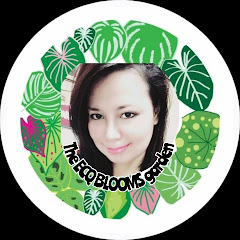 Channel thumbnail for The ECQ BLOOMS garden