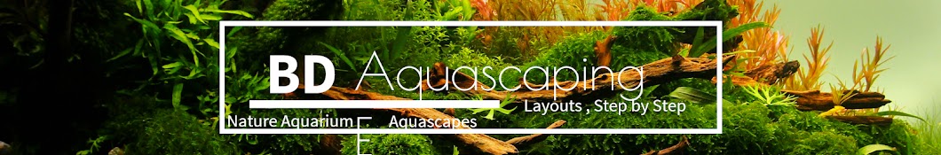 BD Aquascaping YouTube channel avatar