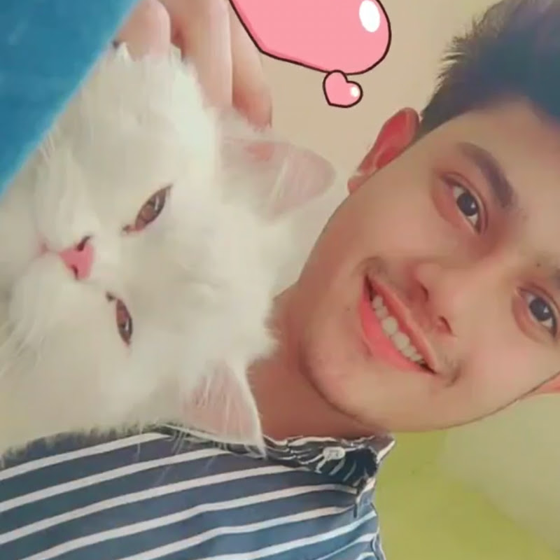 Aarush Pets Vlog
