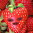 @strawberrygurll-z5j
