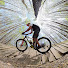 bbCBE-fHmss-channel-avatar-Scott van Walsum
