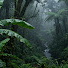 m1wrVRTz694-channel-avatar-RainScape Under Trees