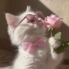 【2ch修羅場スレ】良い映画