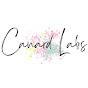 Canard Labs logo