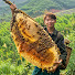 O5LkZWu-kjk-channel-avatar-Bee Hunter 