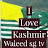 Waleed Kashmiri vlogs