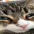 iK1yGLjF2Us-channel-avatar-DrewTookMyName