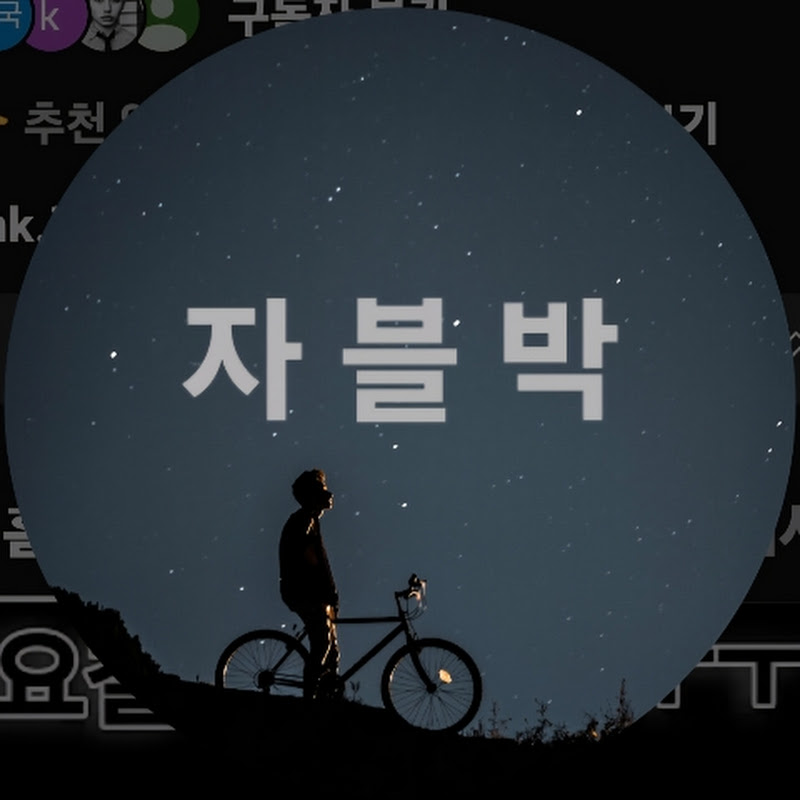 자블박 (자전거 블랙 박스) avatar