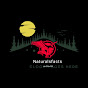 Naturalsfacts logo