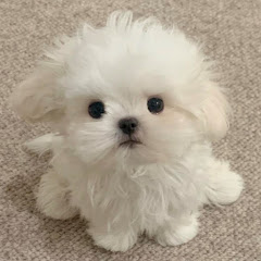 我不アイコン画像