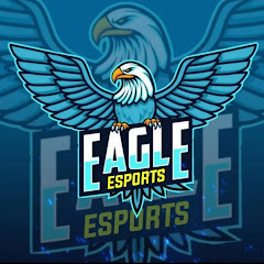 TEAM EAGLE ESPORTS