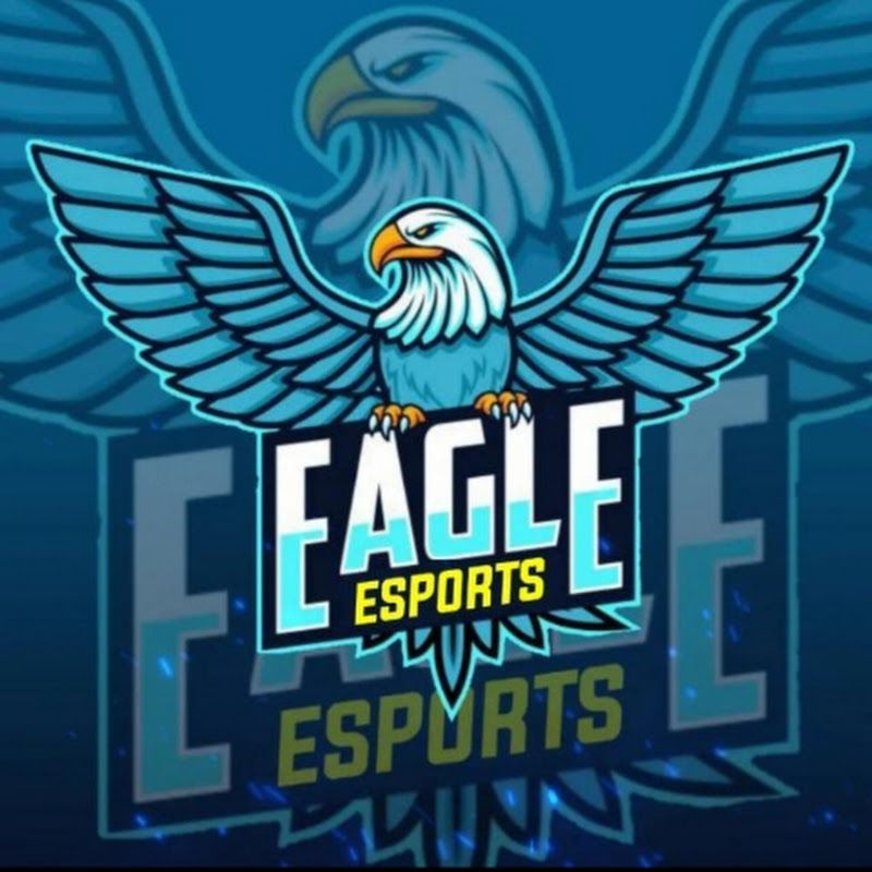 TEAM EAGLE ESPORTS