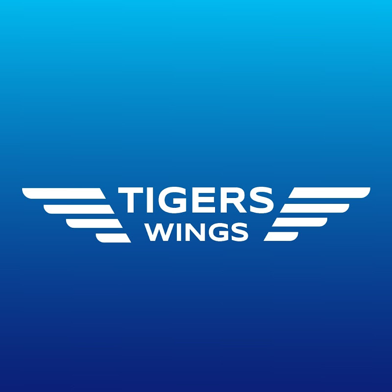 Tigers Wings Aviation Academy 