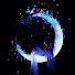 UPNCcNzHDWs-channel-avatar-EVERYCAP