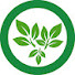 QjxHlxt0Q14-channel-avatar-Mary Cooks Vegan