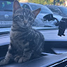 Автор