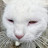 @Rysoon