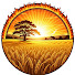 n8sV3JaznTU-channel-avatar-Causos do Interior