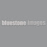 DEkjTmdT-6w-channel-avatar-bluestone images