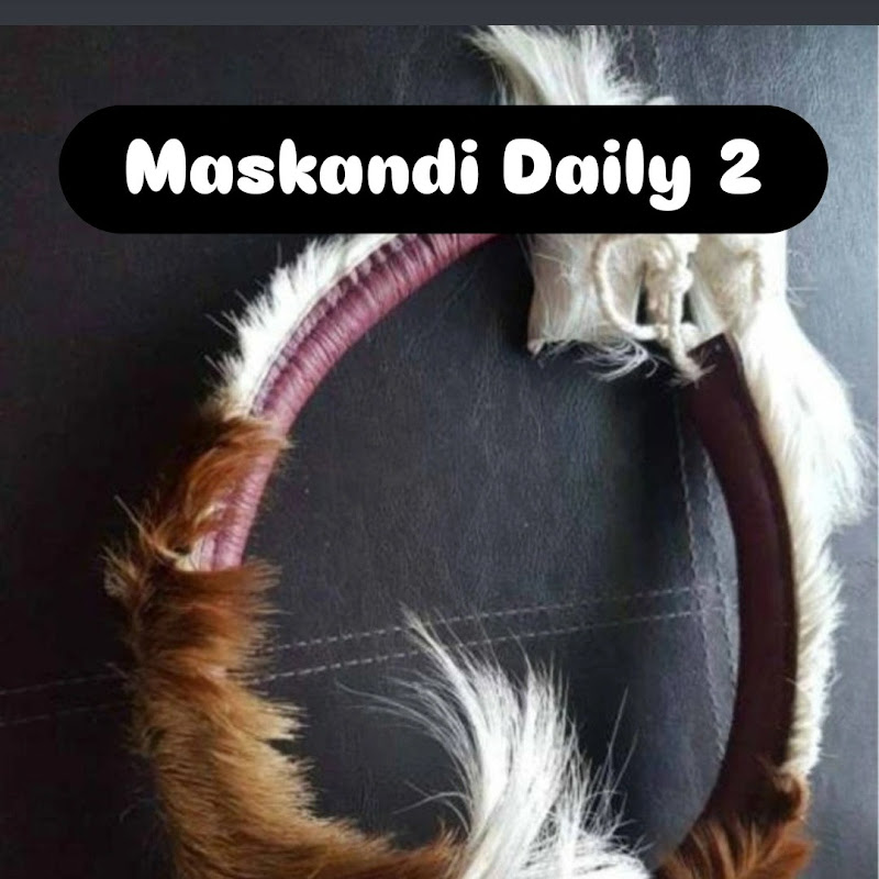Maskandi Daily 2