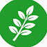 Oci0-xpcWOc-channel-avatar-Thyme