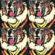 thumbnail img1x1
