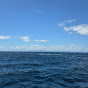 The big blue room