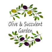 【Olive&Succulentgarden】