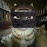 0CWMt3Dwmnw-channel-avatar-Juju