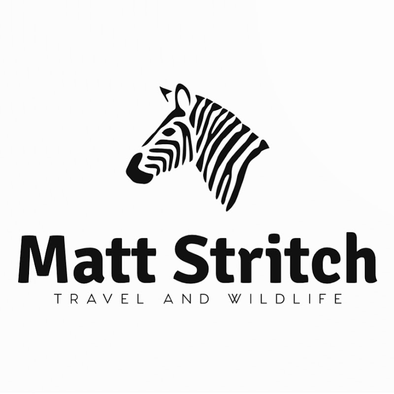Matt Stritch: Travel & Wildlife channel avatar