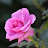 @김수련-j1r