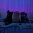 C6M_vHv-oIU-channel-avatar-☆July☆