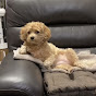 ヤバイ犬ちくわのチャンネルアイコン