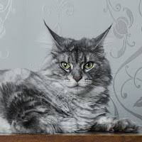 Gaby's playlist profile image