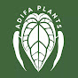 Adifa Plants logo