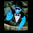 @MrMonk-4AA
