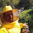 v7WqZBuKnrc-channel-avatar-Rodrigo Abreu Apicultor