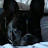 @fam1958-v7i