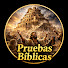 thZueyfI3_I-channel-avatar-Pruebas Biblicas