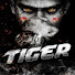 rbD5ejTkyFU-channel-avatar-Ghayal Tiger