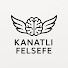 l4ZrGMn0xCE-channel-avatar-Kanatlı Felsefe