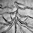 u4JL_mmRTRo-channel-avatar-mp4windigo